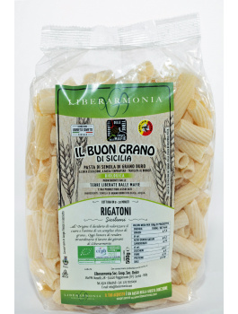 rigatoni_1202652035