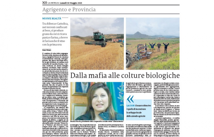 La Sicilia - Dalla mafia alle colture biologiche