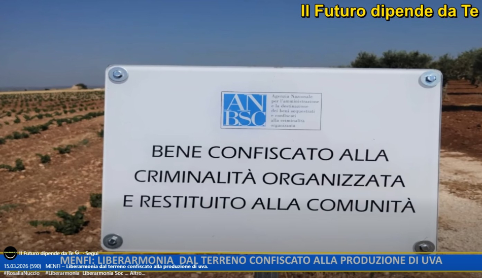 Liberarmonia: dal territorio confiscato alla produzione di uva